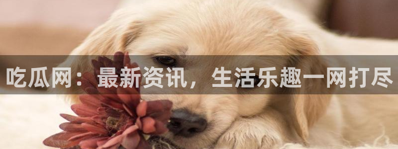 黑料爆料:吃瓜网:最新资讯,生活乐趣一网打尽