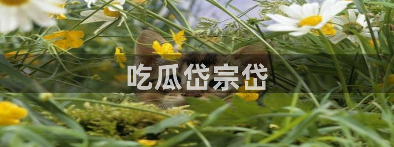 51cgfun吃瓜网怎么进:吃瓜岱宗岱
