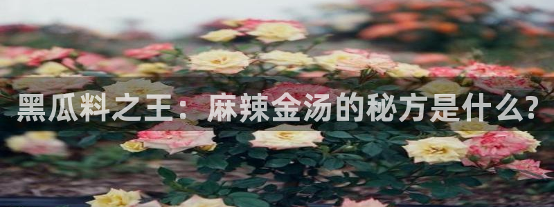 吃瓜去哪个网:黑瓜料之王:麻辣金汤的秘方是什么?