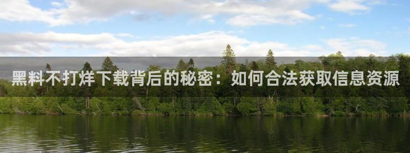 被读心后全员吃瓜吃疯了:黑料不打烊下载背后的秘密:如何合法获取信息资源