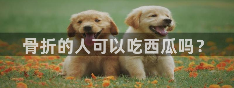 51全网更新最快最全的吃瓜网:骨折的人可以吃西瓜吗?