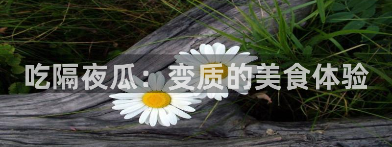 吃瓜www:吃隔夜瓜:变质的美食体验