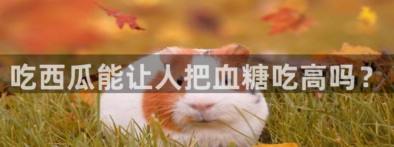 51吃瓜今日吃瓜娜娜:吃西瓜能让人把血糖吃高吗?