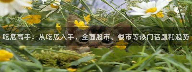 51吃瓜网今日吃瓜热门吃瓜:吃瓜高手:从吃瓜入手,全面股市、楼市等热门话题和趋势