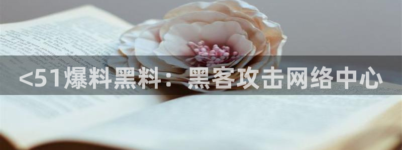 51cgfun每日吃瓜:<51爆料黑料:黑客攻击网络中心